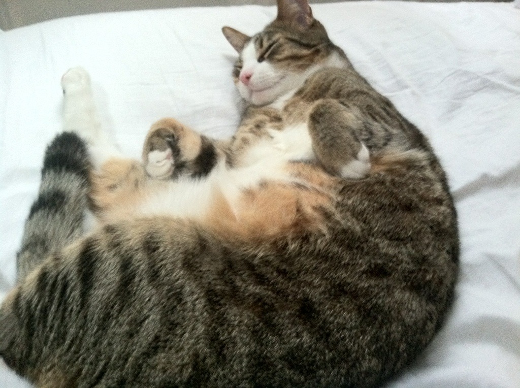 巴塞罗那之魂的凯旋，巴尔韦德在罗马血战证明何为关键先生