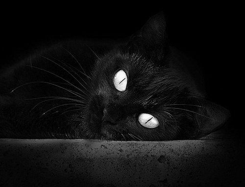 卡塞米罗的时空帽子戏法，当巴西铁腰主宰英突之战